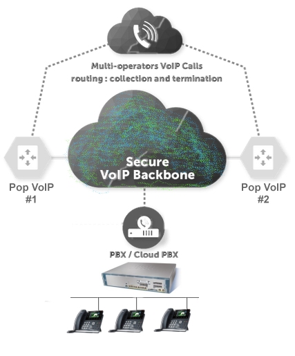les Trunk Sip (canal VoIP) : , -